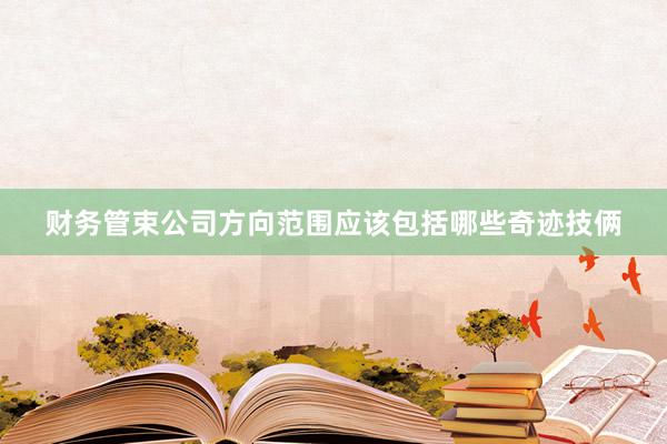 财务管束公司方向范围应该包括哪些奇迹技俩