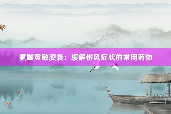 氨咖黄敏胶囊：缓解伤风症状的常用药物