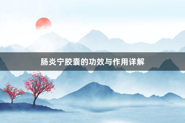 肠炎宁胶囊的功效与作用详解